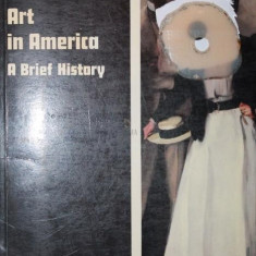 ART IN AMERICA A BRIEF HISTORY