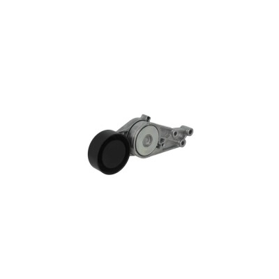 Intinzator curea AUDI A4 Avant 8ED B7 DAYCO APV2310 foto