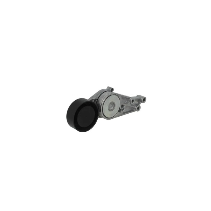 Intinzator curea AUDI A4 Avant 8ED B7 DAYCO APV2310