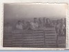 Bnk foto - La munca campului - GAS Valea Urloii Prahova 1952, Alb-Negru, Romania de la 1950