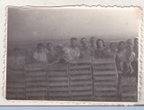 bnk foto - La munca campului - GAS Valea Urloii Prahova 1952