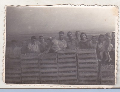 bnk foto - La munca campului - GAS Valea Urloii Prahova 1952 foto