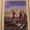 800 DE LEGHE PE AMAZON JULES VERNE