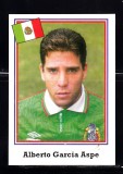 B10 - Sticker fotbal - Campionatul mondial USA - 1994 - nr 347