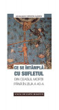 Ce se &icirc;nt&acirc;mplă cu sufletul din ceasul morţii p&acirc;nă &icirc;n ziua a 40-a - Paperback brosat - arhim. Serafim Alexiev - Sophia