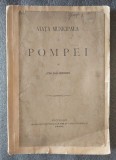 Jon Kalinderu - Viaţa municipală la Pompei (1890)