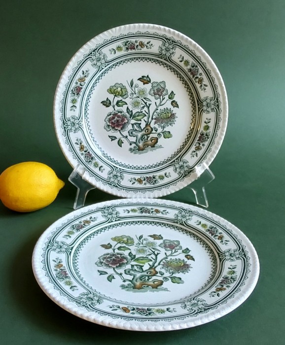 Set 2 Farfuri portelan Englezesc Wood and Sons- Dorset