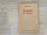Scantei in bezna de A.G.Vaida