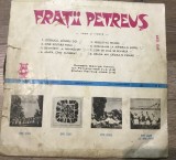 Vinil 4.1 Vinyl Electrecord , Fratii Petreus