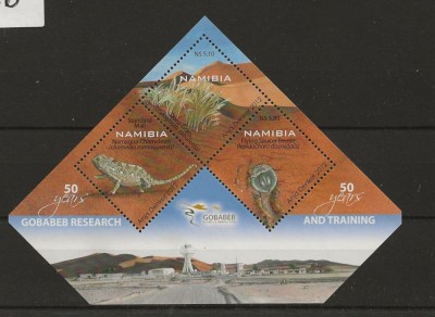 NAMIBIA 2012 INSITUTUL DE CERCETARE GOBABEB FAUNA SI FLORA foto