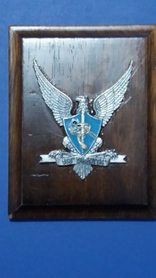 QW11 12 - Placheta - tematica militara - forte speciale foto