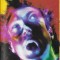 Casetă audio Alice In Chains &lrm;&ndash; Facelift, originală