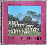 Rasinari - Ion Miclea Contine dedicatie, data si semnatura autorului