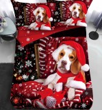 Lenjerie Pat De Craciun O Persoana Revelion Cr080, Bumbac, 4 Piese, Cu Elastic, Imprimeu