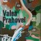 VALEA PRAHOVEI, GHID-TEXT DE COSTIN STEFANESCU-261232