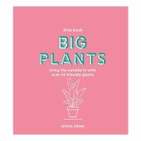 Big plants: bring the outside in with over 45 friendly giants