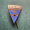 Insigna tip PIN Tarom anii &#039;50/&#039;60 varianta