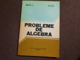 Probleme de algebra Ion.D Ion,Nicolae Radu P4, Trei