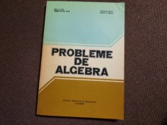 Probleme de algebra Ion.D Ion,Nicolae Radu P4