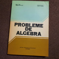 Probleme de algebra Ion.D Ion,Nicolae Radu P4