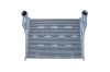 NRF 309081 Intercooler, compresor