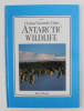 ANTARTIC WILDLIFE by BEN OSBORNE , OXFORD SCIENTIFIC FILMS , 1989
