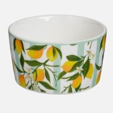 Bol din Ceramică Rotund, 175 ml, Model cu Dungi și Lăm&acirc;i, CMCLASS
