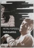 Supleantul - Petru Popescu, Roman, Carte Beletristica