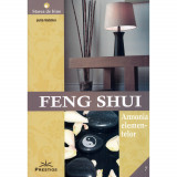 Feng shui. armonia elementelor - julia hatcher, Prestige