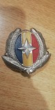 QW14 - Emblema militara - anii 1990 - servicii - piesa de colectie
