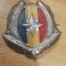 QW14 - Emblema militara - anii 1990 - servicii - piesa de colectie