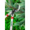 icon 5
