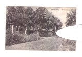 CP Targoviste, 1916-1918, necirculata, cu militar german, stare foarte buna, Fotografie, Dambovita