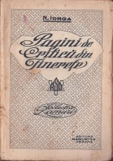 C8426N Pagini de critică din tinerețe de Nicolae Iorga, fără an, Craiova