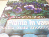 PLANTE IN VASE PENTRU TOATE ANOTIMPURILE ( Reader`s Digest, 2008 ) / in tipla
