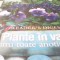 PLANTE IN VASE PENTRU TOATE ANOTIMPURILE ( Reader`s Digest, 2008 ) / in tipla