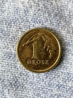 1 GROSZ 2015-POLONIA foto