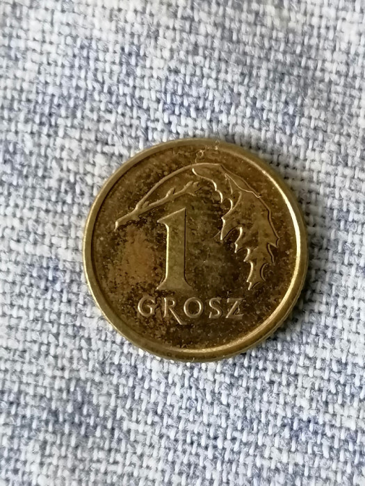 1 GROSZ 2015-POLONIA