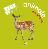 Bebe invata: Animale din padure |