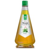 Sirop Menta Santo Raphael 250ml