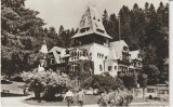 Romania , Sinaia , Castelul Pelisor , Foto , Circulata 1967, Fotografie