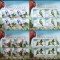 REP.BURUNDI - PAPAGALI-4X4 V.1 M/SH.DE LUX-MNH** - RBU 117