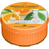 Kringle Candle Citrus Blossom &amp; Honey lum&acirc;nare 42 g