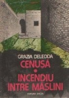 Cenusa. Incendiu intre maslini foto