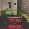 Cenusa. Incendiu intre maslini