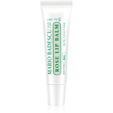 Mario Badescu Rose Lip Balm balsam de buze ultra nutritiv cu aromă de trandafiri 10 g