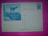 HOPCT 10889 -IP- PE CRESTE - CAPRA NEAGRA / RUPICAPRA RUPICAPRA CARPATICA -FAUNA- -NECIRCULATA