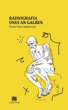 Radiografia unui an galben - Daniel Puia-Dumitrescu - Editura Creator-Libris