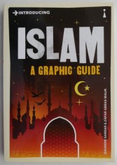 Introducing Islam. A Graphic Guide