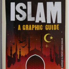 Introducing Islam A Graphic Guide